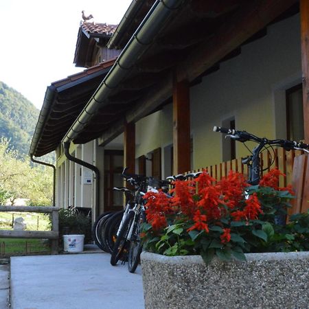 Tourist Farm Pri Kafolu Villa Tolmin Rom bilde