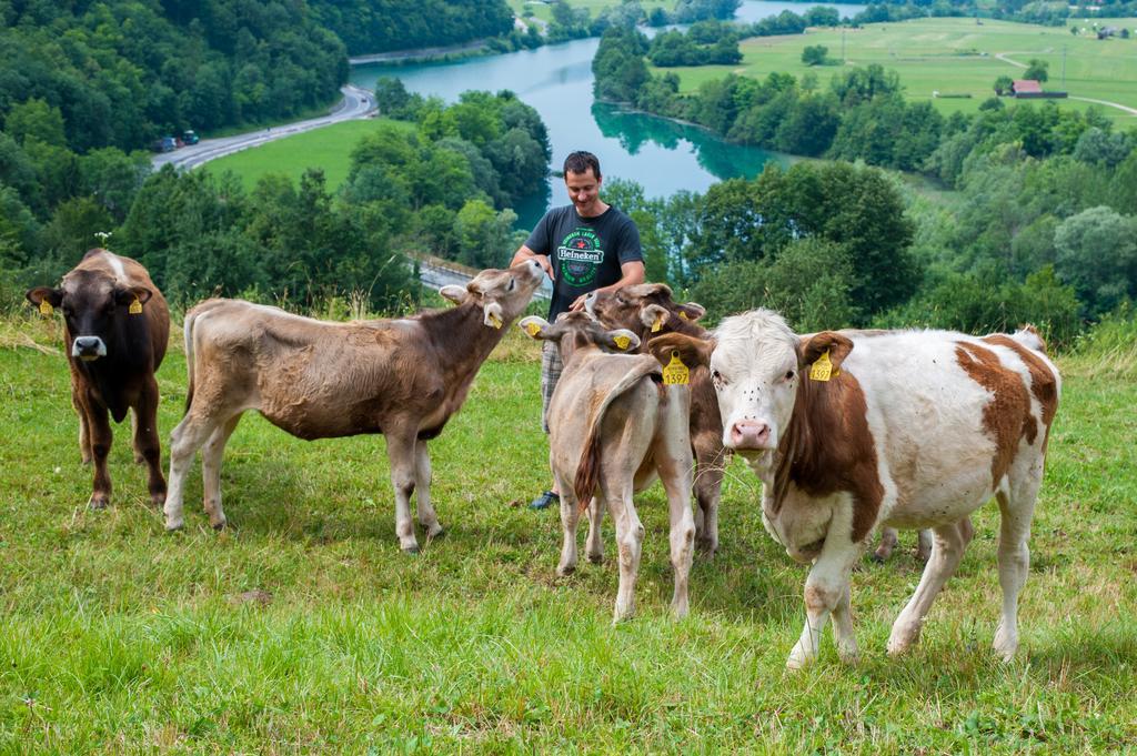 Tourist Farm Pri Kafolu Villa Tolmin Eksteriør bilde